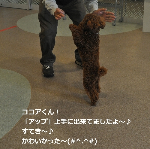 アップじょうずだねっ.jpg