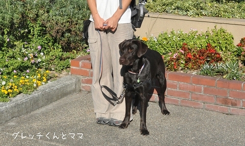 グレッチくんとママ.jpg