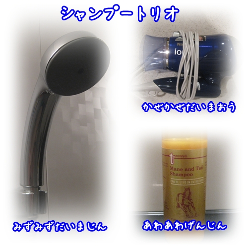 シャンプートリオ.jpg