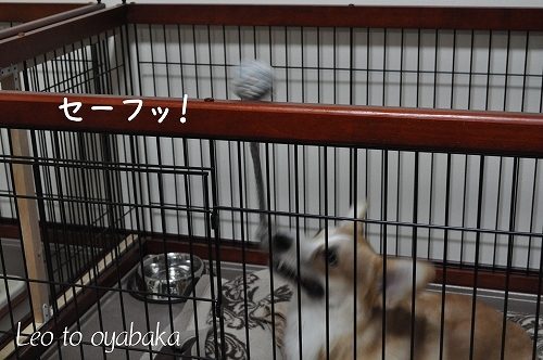 セーフっ!.jpg