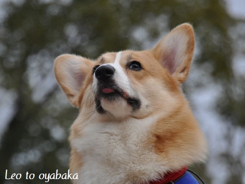 ヅカの風が気持がよいよっ♪.jpg