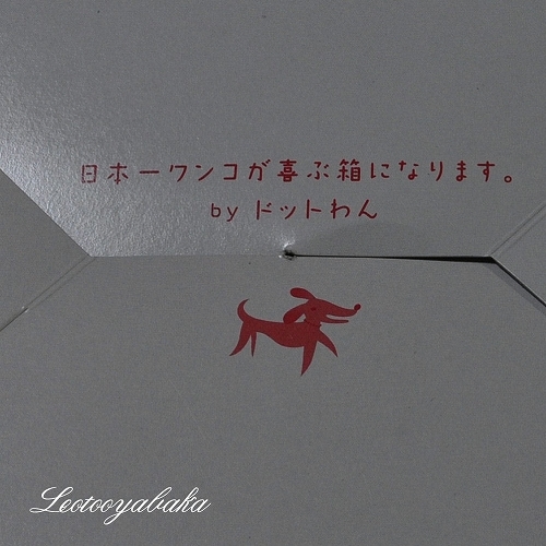 ドットわん.jpg