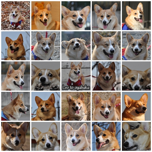 ノミネート写真.jpg