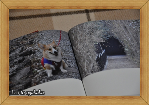 フォトブック1.jpg