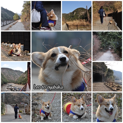 フォトブック画像.jpg