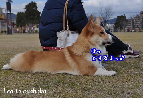 ホッとするよっ♪.jpg