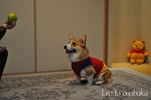 ボールがあると、何でもするよっ♪.jpg