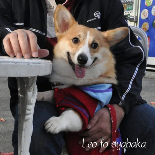 レオだよっ.jpg