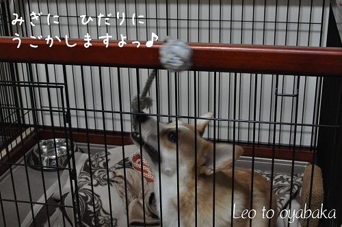 右に左に動かします.jpg