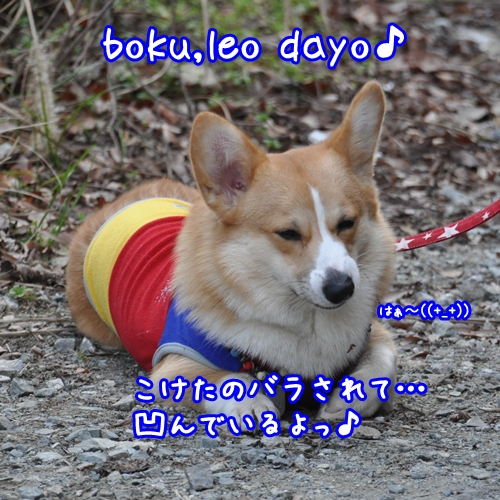 凹んでいるよっ♪.jpg