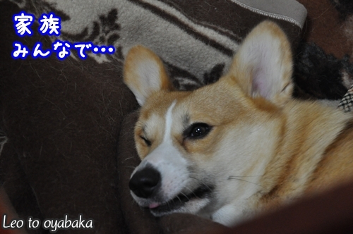 家族みんなで.jpg