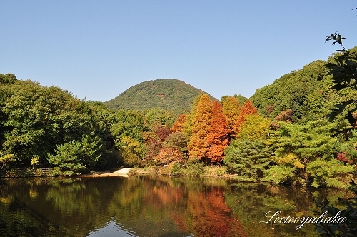 甲山.jpg