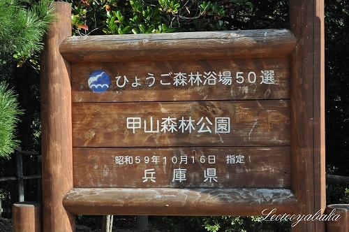 甲山森林公園.jpg