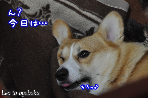 今日は.jpg