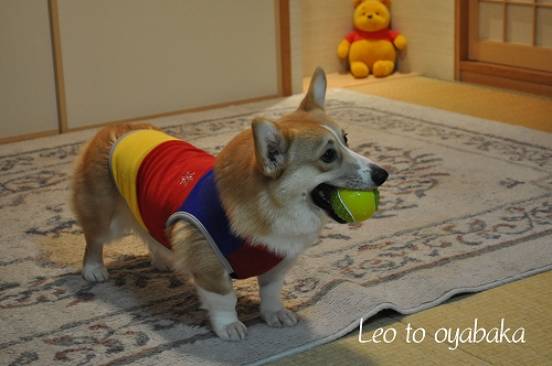 今日もニコニコ遊んでね♪.jpg