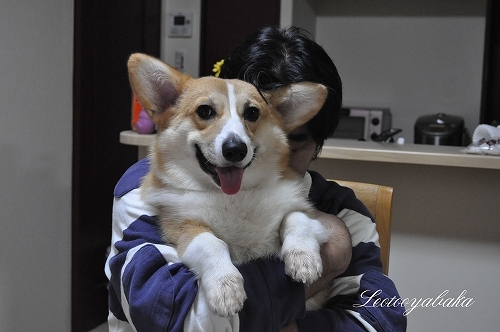 今日もハイキングに行くよっ!.jpg