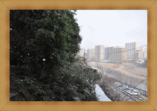 少しだけ雪♪.gif