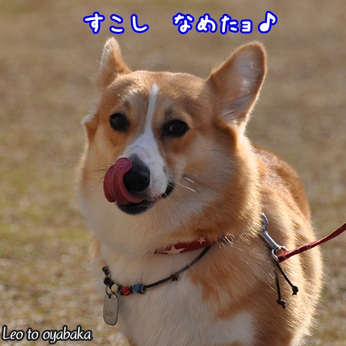 少しなめたョ♪.jpg