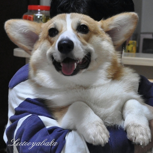 笑顔1.jpg