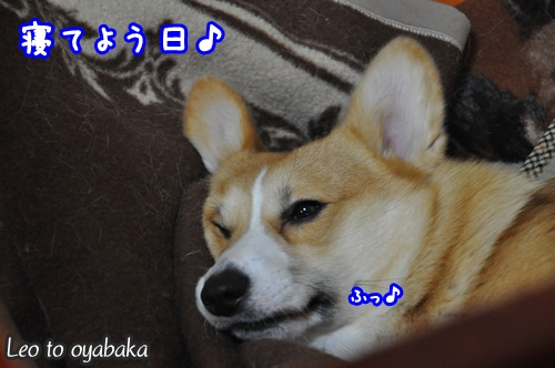 寝てよう日.jpg