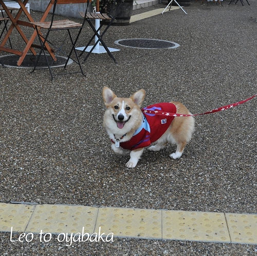 良い子にするよっ♪.jpg