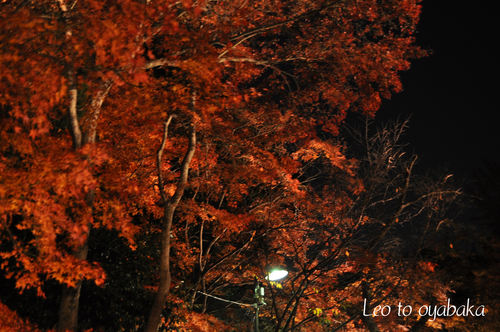 鷲林寺2.jpg