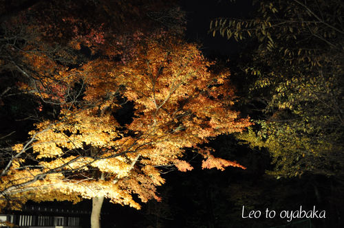 鷲林寺3.jpg