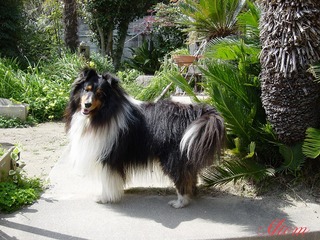 DSC00071.jpg