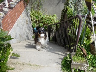 DSC00076.jpg