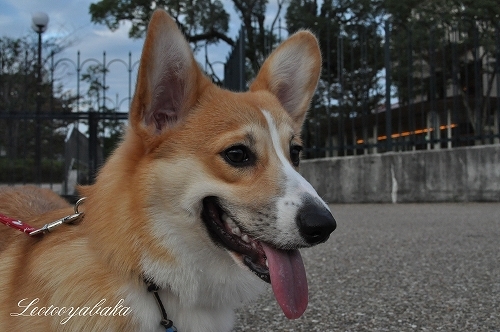 DSC_0007.jpg