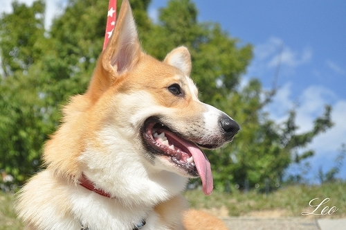 DSC_0011.jpg