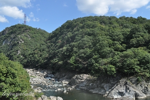 DSC_0020.jpg