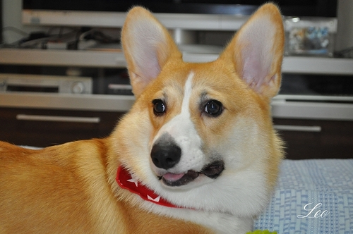 DSC_0021.jpg