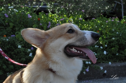 DSC_0022.jpg