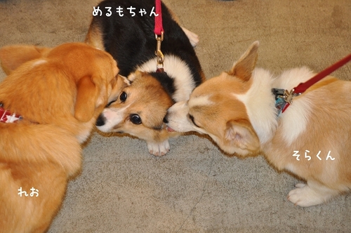 DSC_0024.jpg