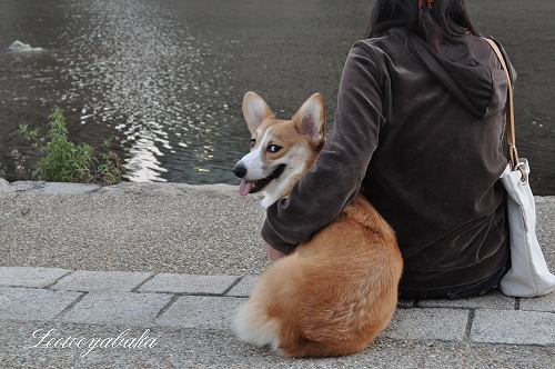 DSC_0195.jpg