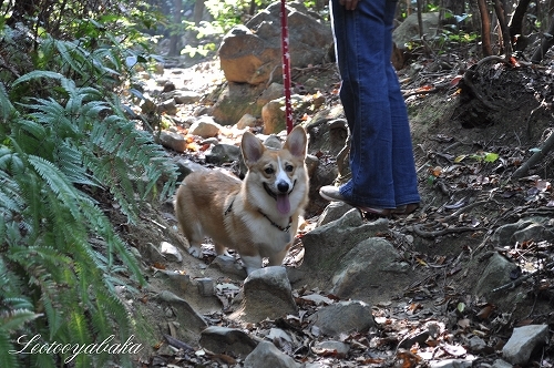 DSC_0535.jpg