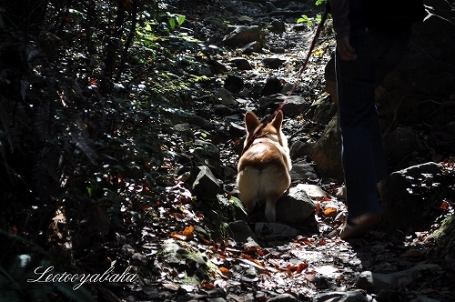 DSC_0544.jpg