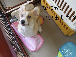 IMG_0634のコピー.jpg