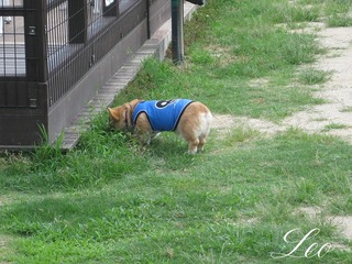 IMG_0641.jpg