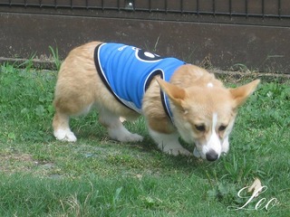 IMG_0643.jpg