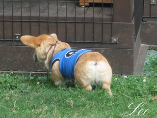 IMG_0644.jpg