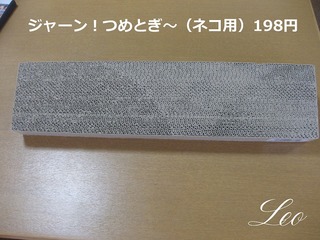 IMG_0788.jpg