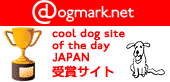 Cool Dog Site of the Day JAPANへ